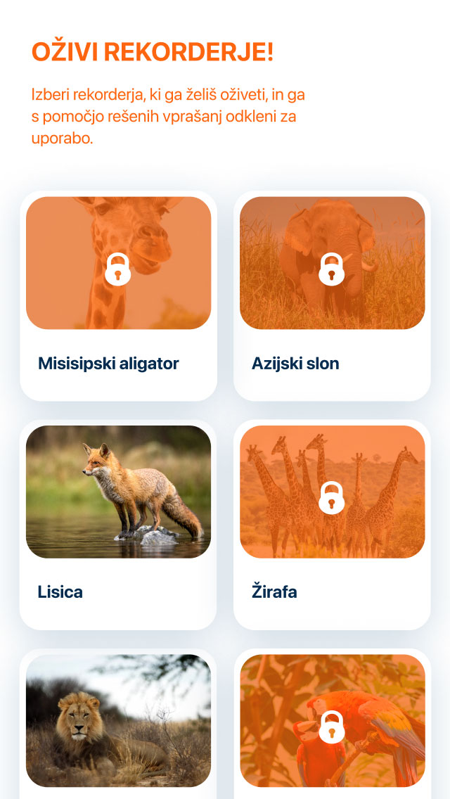 SparRekApp_2