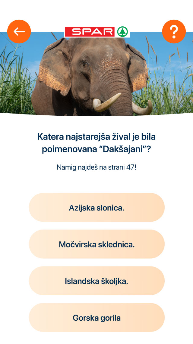 SparRekApp_3