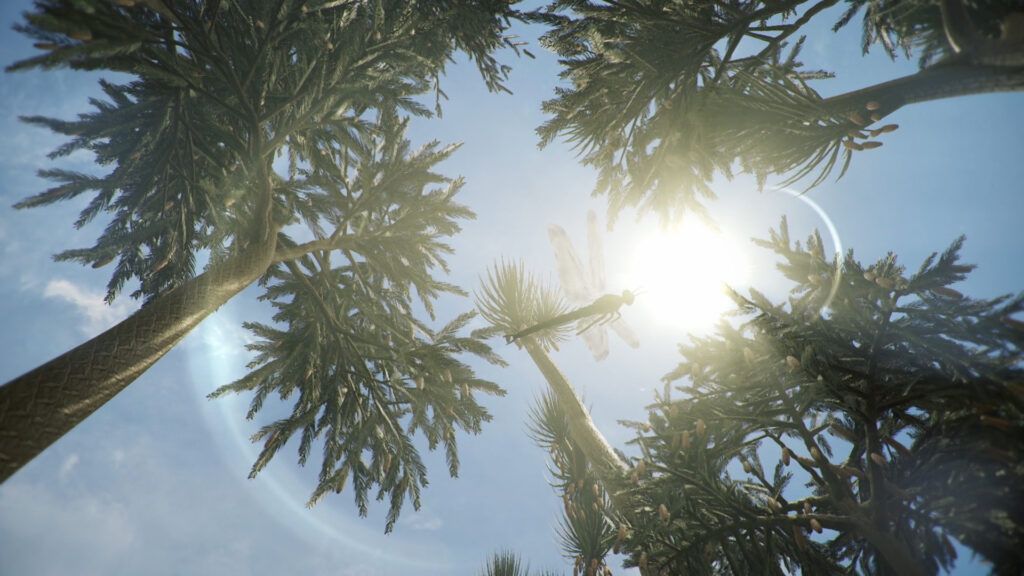 papuk_carbon_4